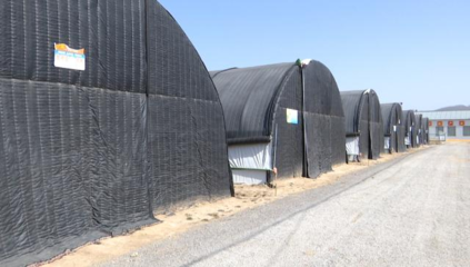 甘肅合水:菌光互補(bǔ)項(xiàng)目預(yù)計(jì)5月完成并網(wǎng)