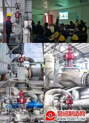 紐托克防喘振閥助力世界首套荒煤氣制乙二醇項目投產(chǎn)成功