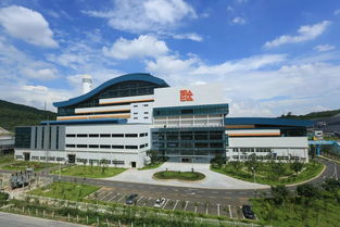 一把手談品牌 實力 責(zé)任 綠色 看深圳能源如何擦亮國企品牌