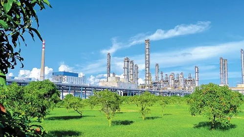 中國石化打造綠色發(fā)展亮麗名片