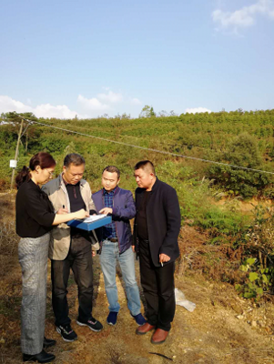 岳陽審計局開發(fā)區(qū)分局嚴把環(huán)保督查項目復(fù)核關(guān)