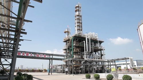 總投資4.7億 樂亭這個循環(huán)經(jīng)濟項目迎來新進展